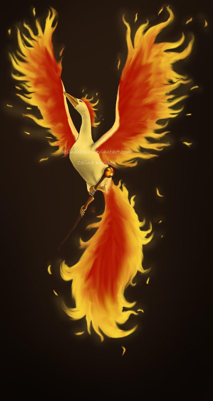 900x1700 Moltres, Phone