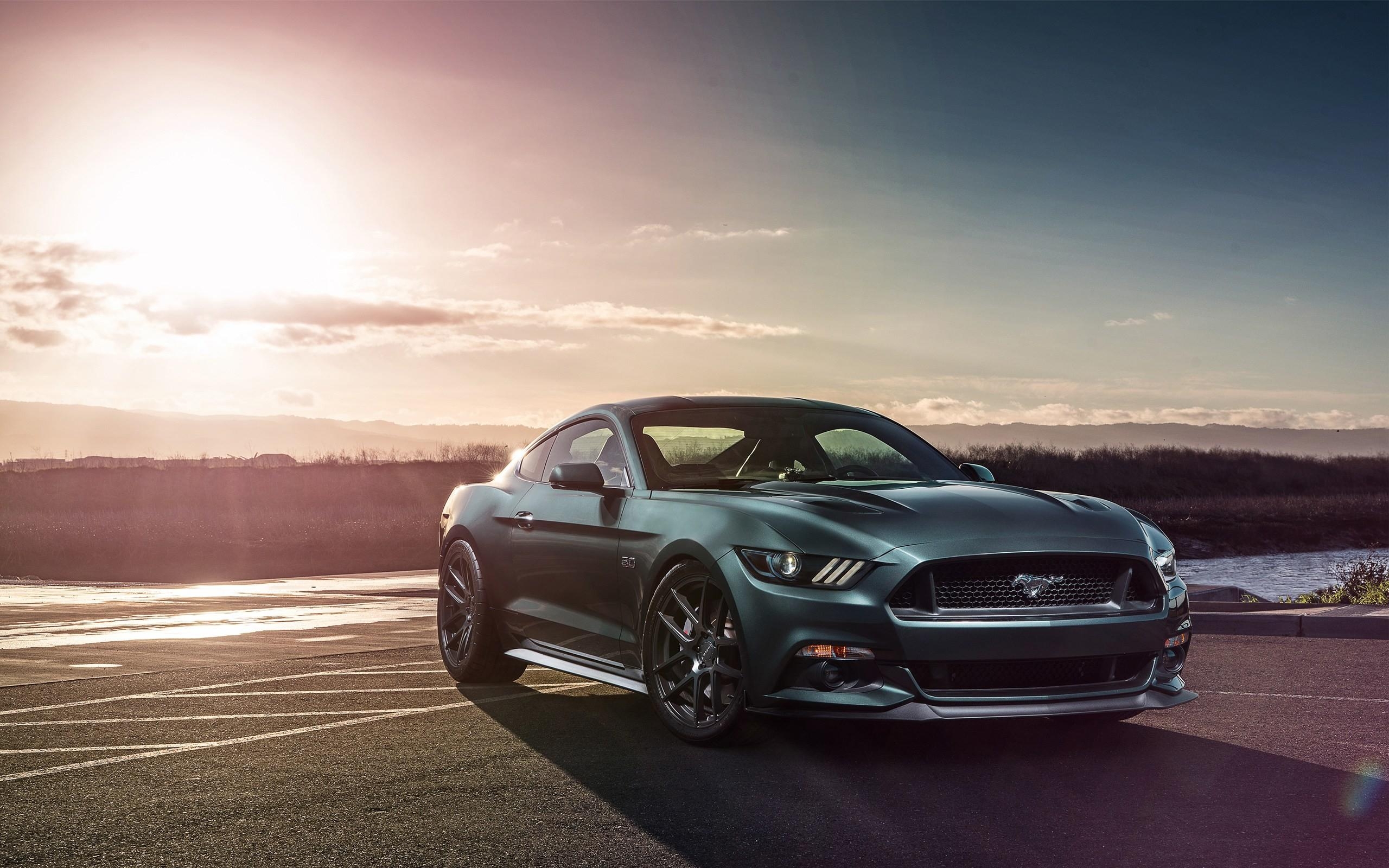 2560x1600 Mustang Wallpaper, Desktop