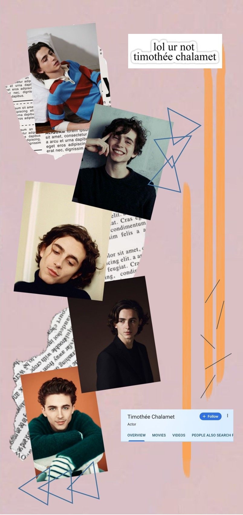 810x1710 Aesthetic Wallpaper Timothee Chalamet, Phone