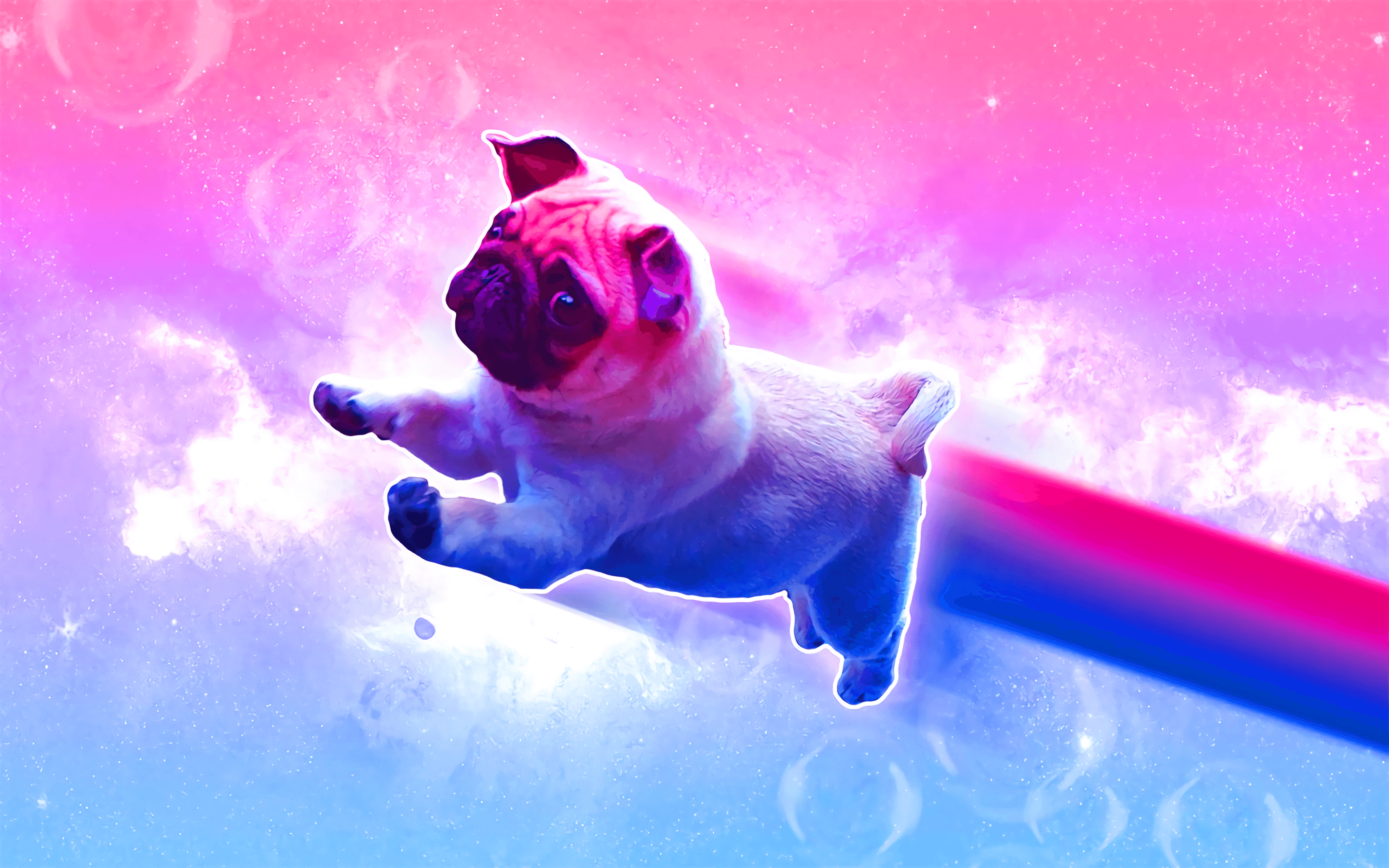 2880x1800 Bi Pride Pug [], Desktop