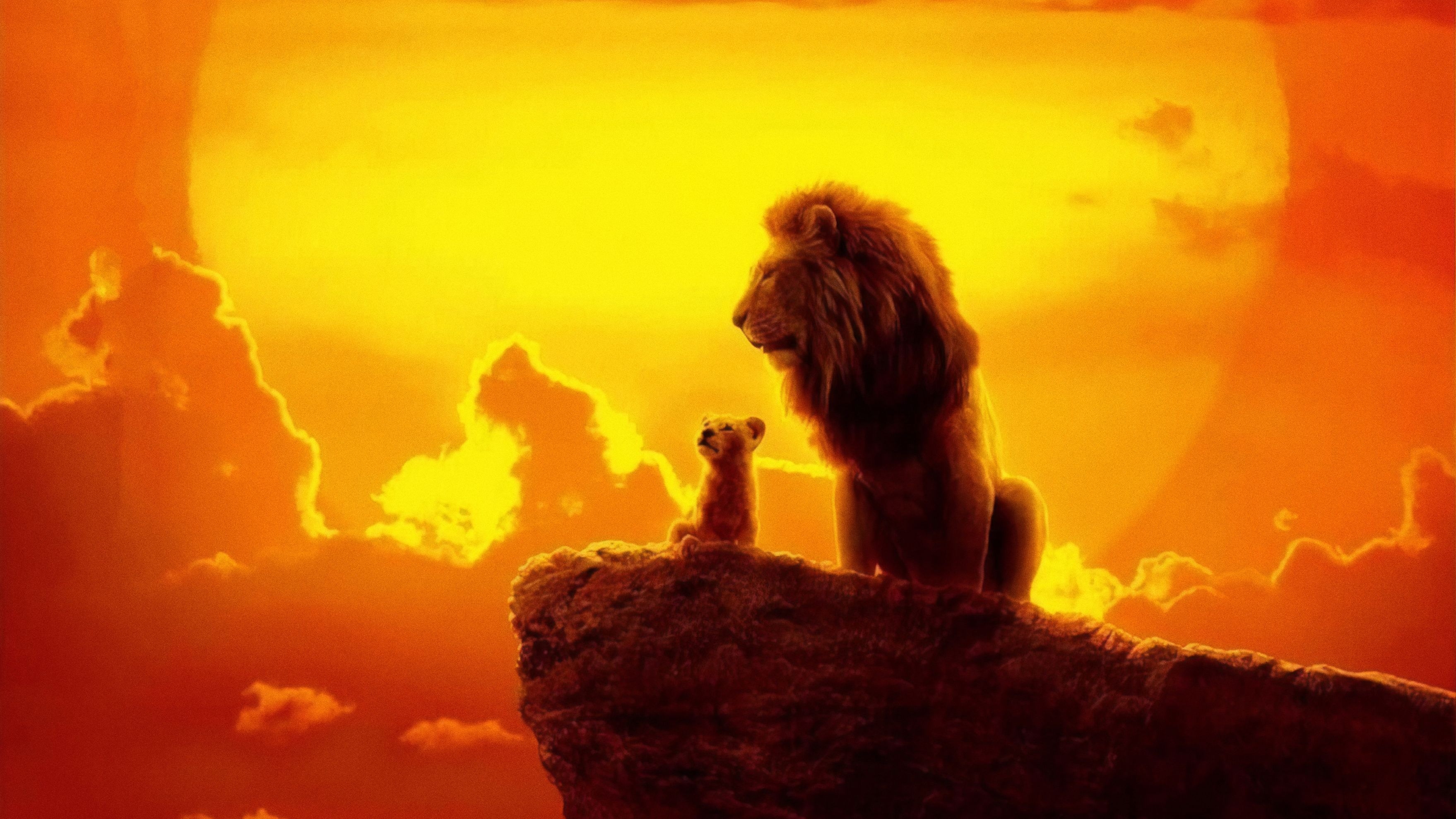 3520x1980 The Lion King 2019 4k, HD Movies, 4k Wallpaper, Image, Background, Photo and Picture, Desktop