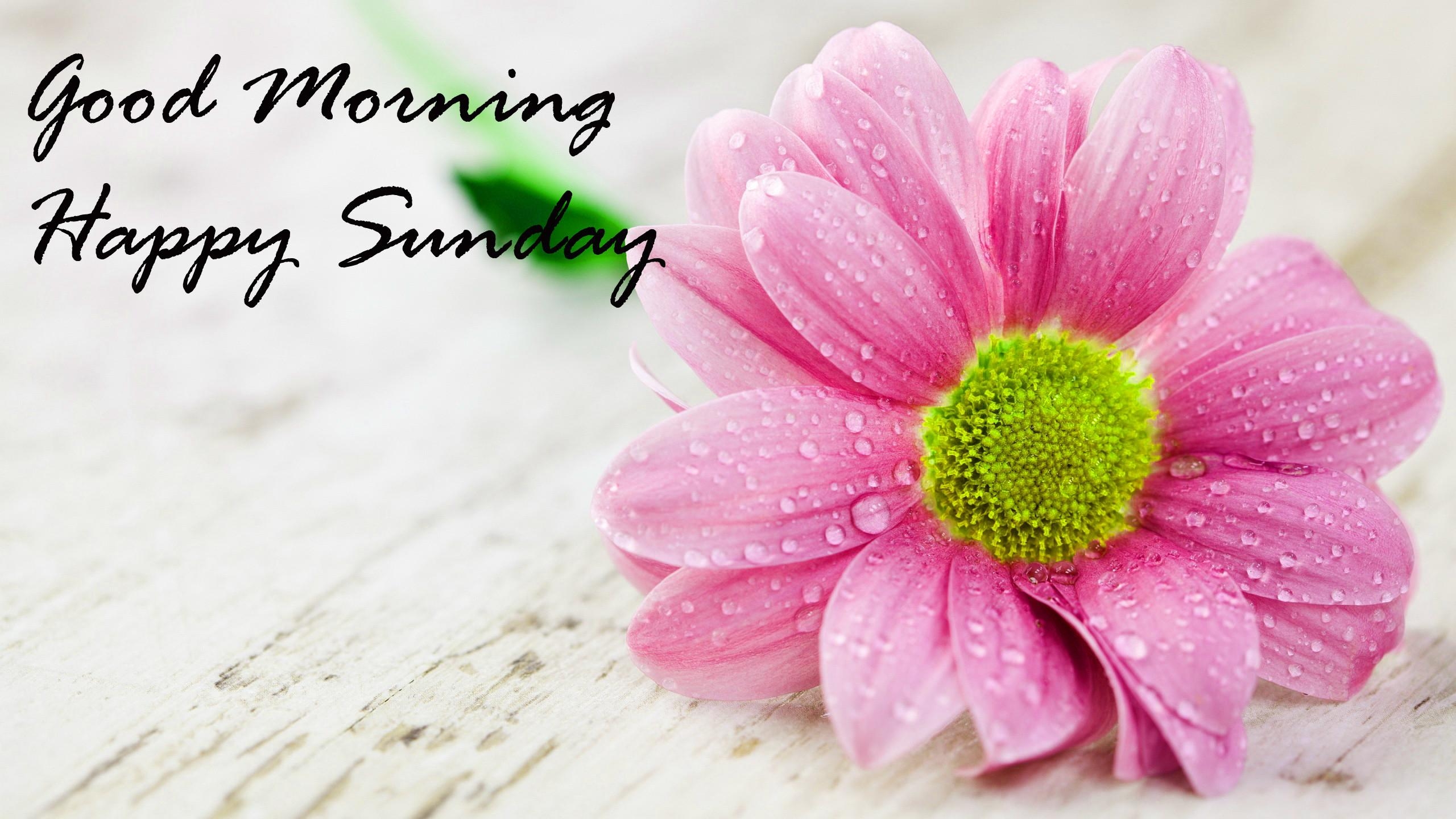 2560x1440 Good Morning Blessings Wallpaper, Desktop