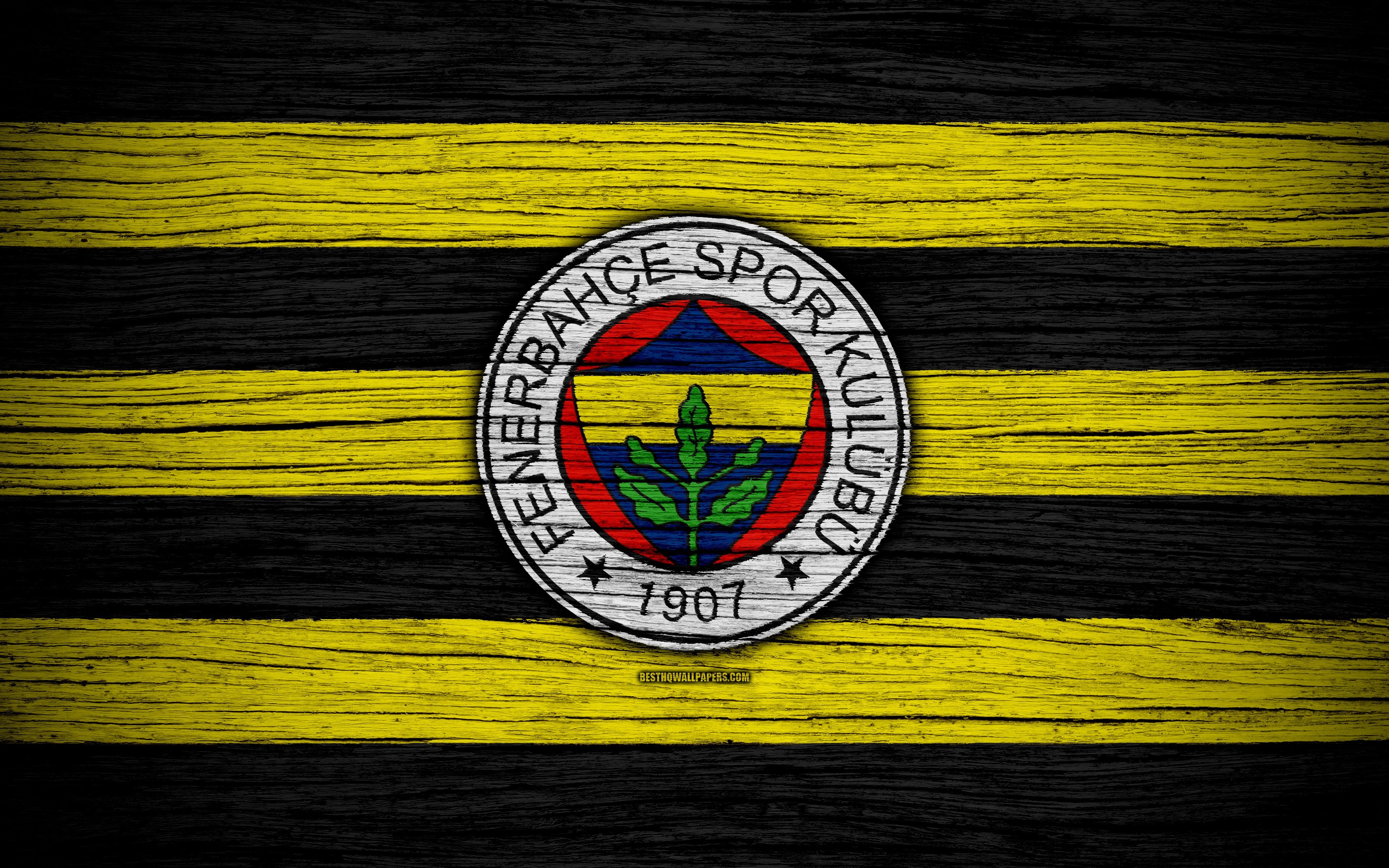 3840x2400 Download wallpaper Fenerbahce, 4k, Turkey, wooden texture, Super Lig, soccer, football club, FC Fenerbahce, art, football, FenerbahceFC for desktop with resolution. High Quality HD picture wallpaper, Desktop