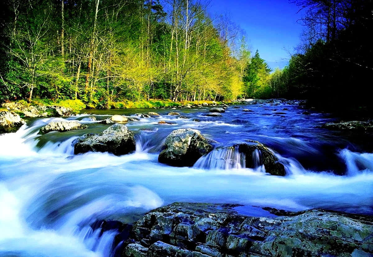 1200x830 River Wallpaper, Desktop