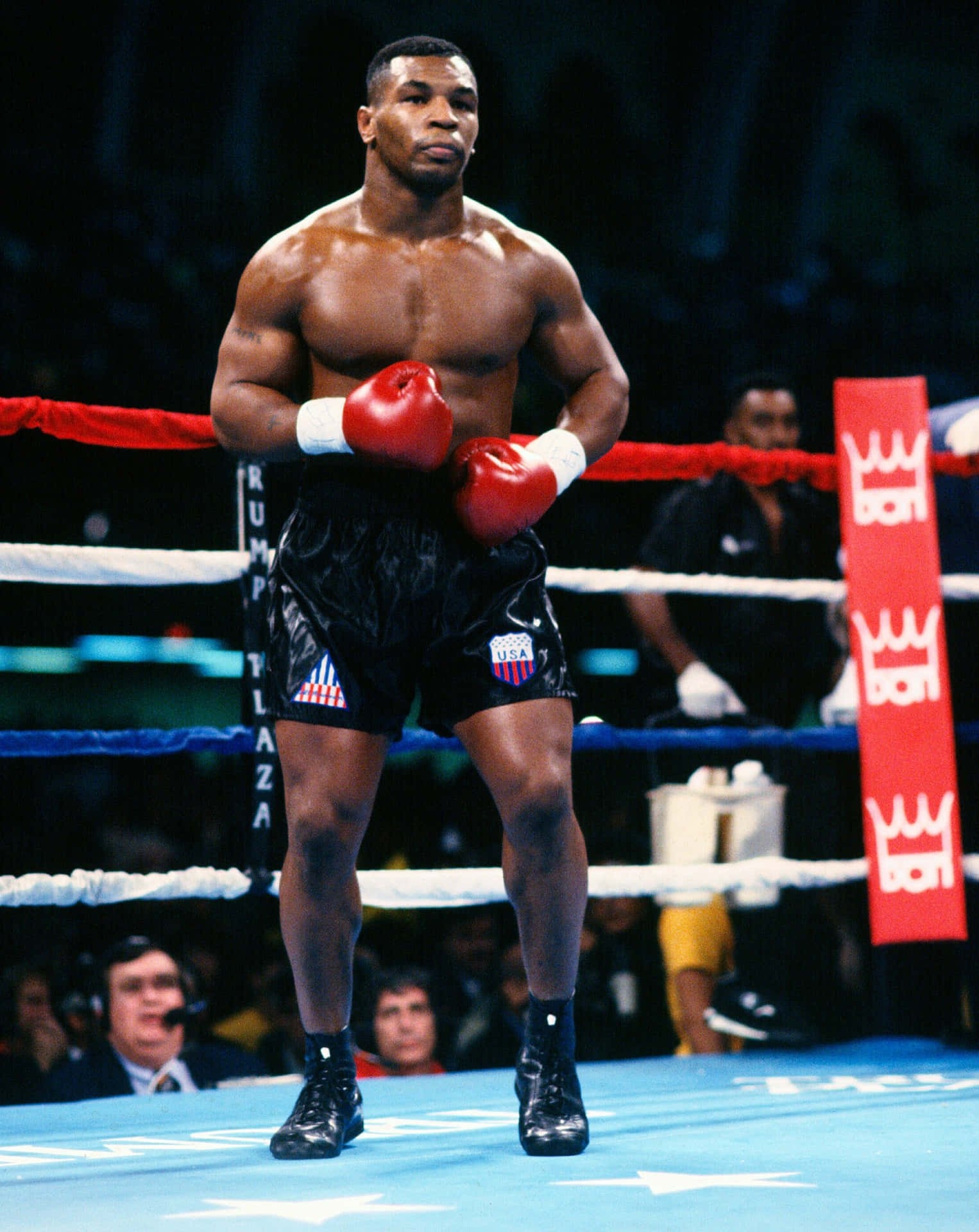 1530x1920 Download Mike Tyson Boxing Legend, Phone