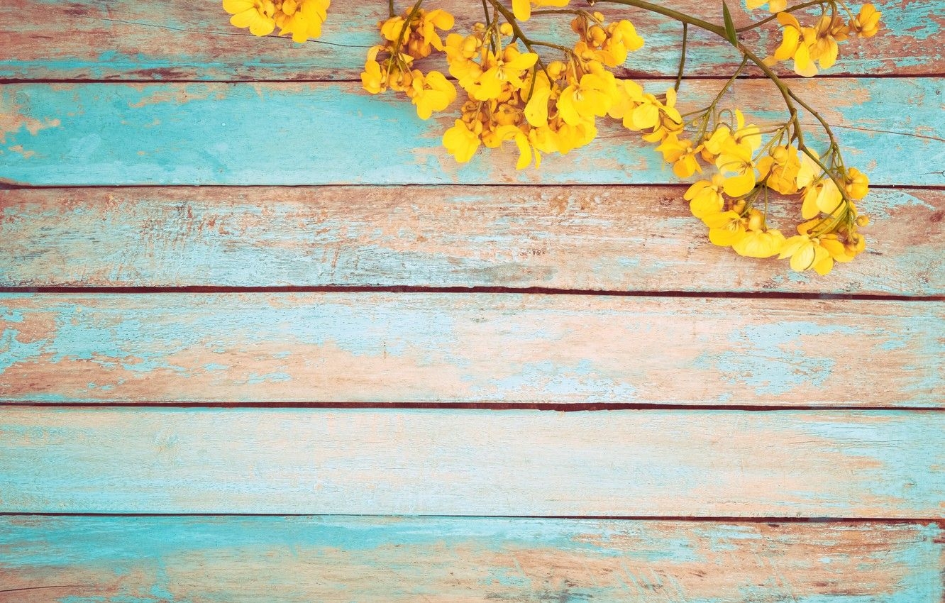 1340x850 Free download Wallpaper flowers spring yellow vintage yellow wood, Desktop