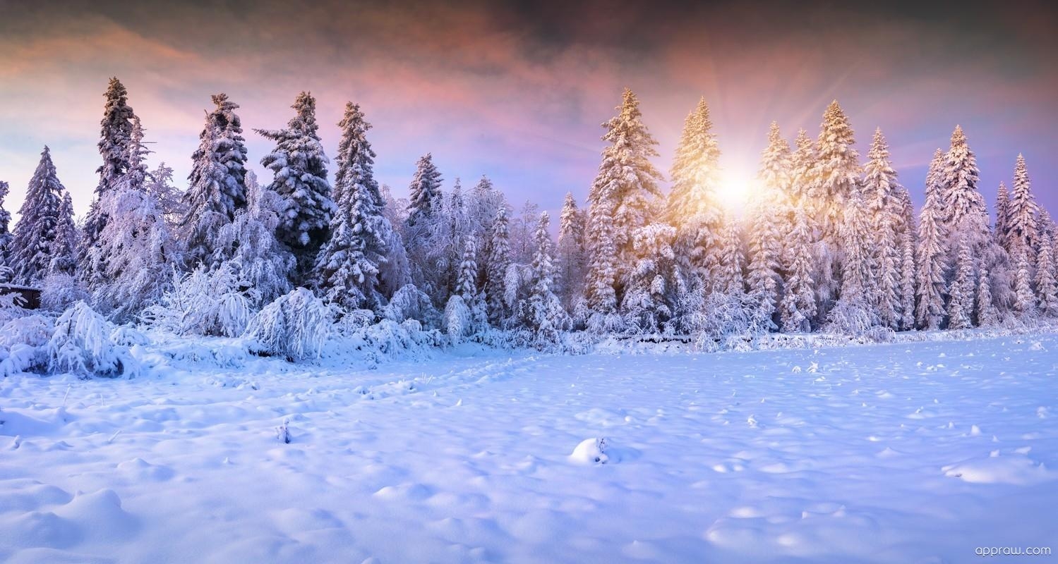 1500x800 Winter Landscape Wallpaper download HD Wallpaper, Desktop