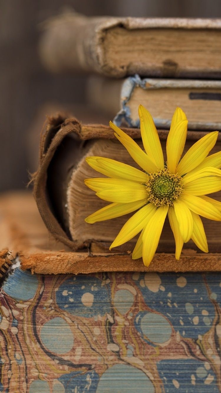 750x1340 Books, Yellow Flower  IPhone 8 7 6 6S Wallpaper, Background, Picture, Image, Phone