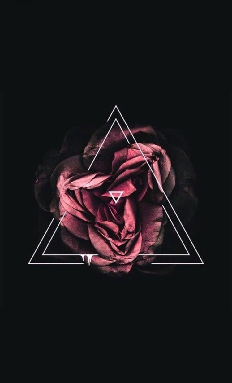 750x1240 Black Rose Aesthetic Wallpaper, Phone