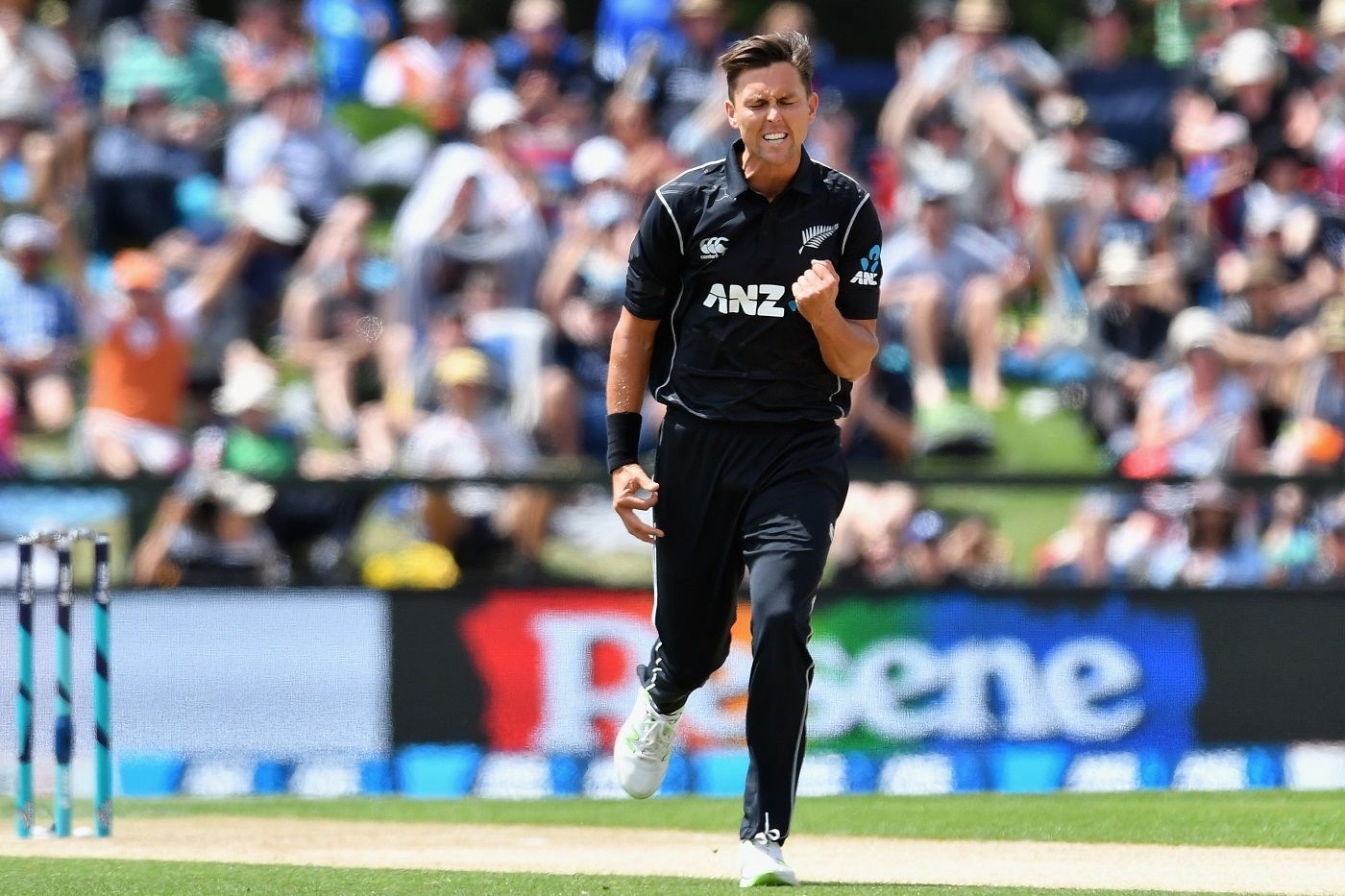 1400x940 Trent Boult Top Best Picture And Wallpaper Collection, Desktop