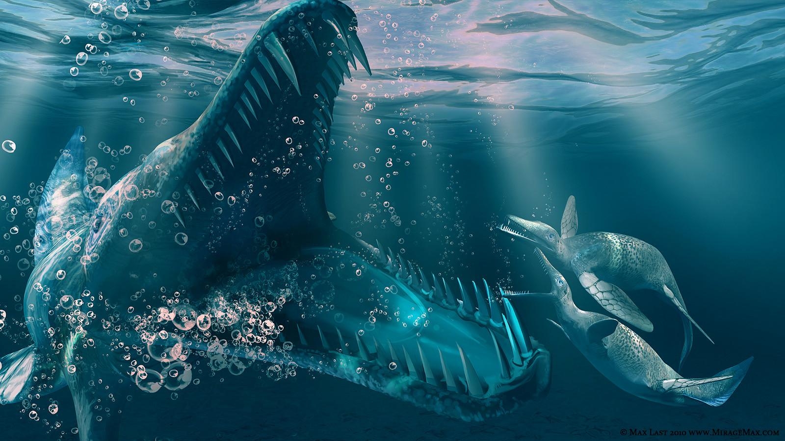 1600x900 Mosasaurus Vs Kronosaurus Size 6163, Desktop