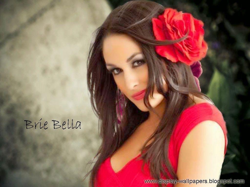 1030x770 Brie Bella Wallpaper. WWE DESKTOP HD WALLPAPERS FREE DOWNLOAD, Desktop