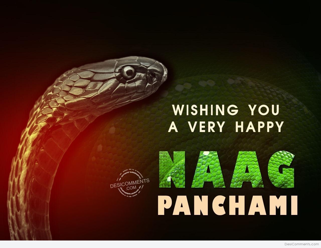 1280x990 Nag Panchami Picture, Image, Photo, Desktop