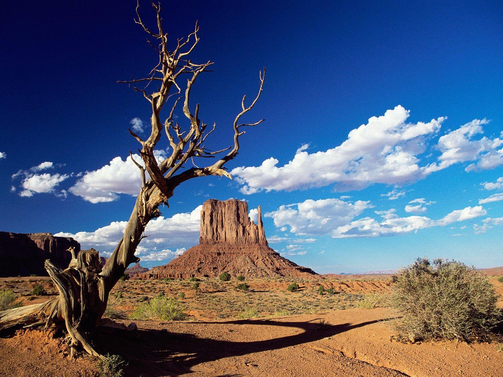 1600x1200 Arizona Wallpaper Widescreen, Desktop