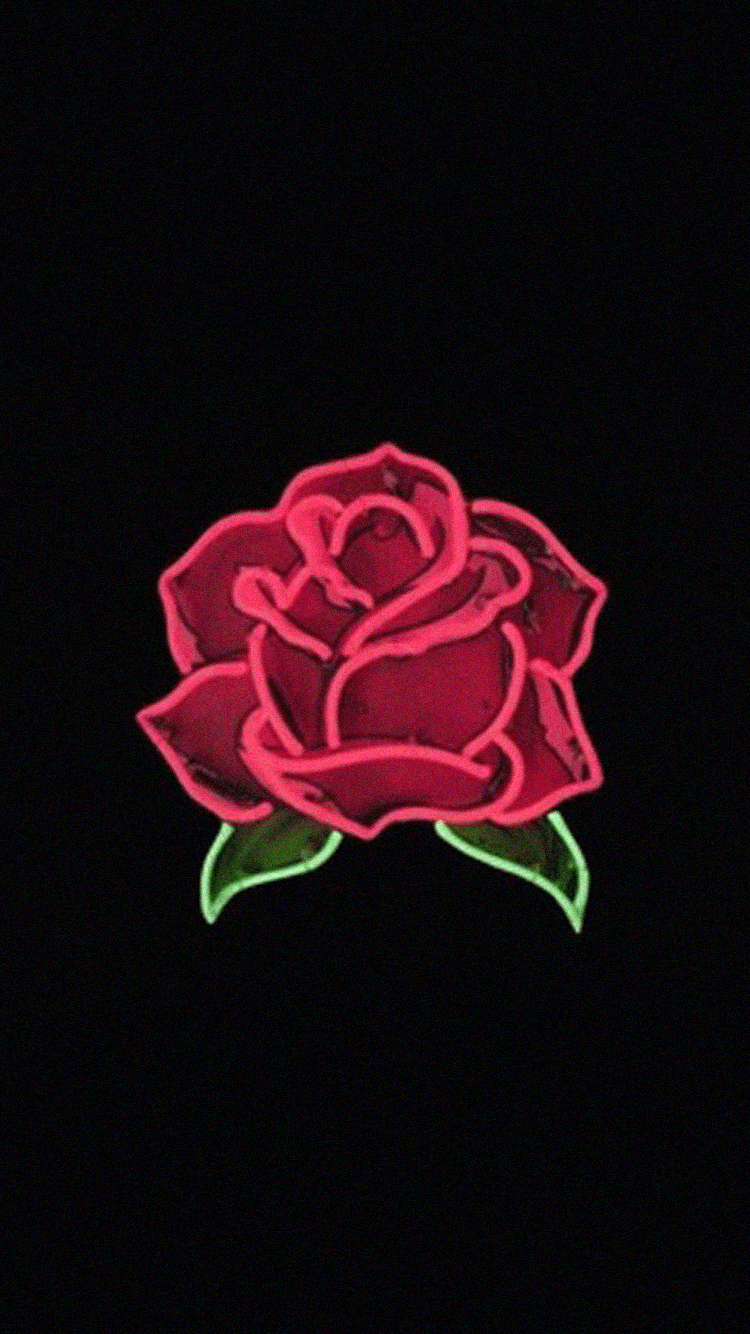 750x1340 Red Rose Aesthetic Wallpaper, Phone