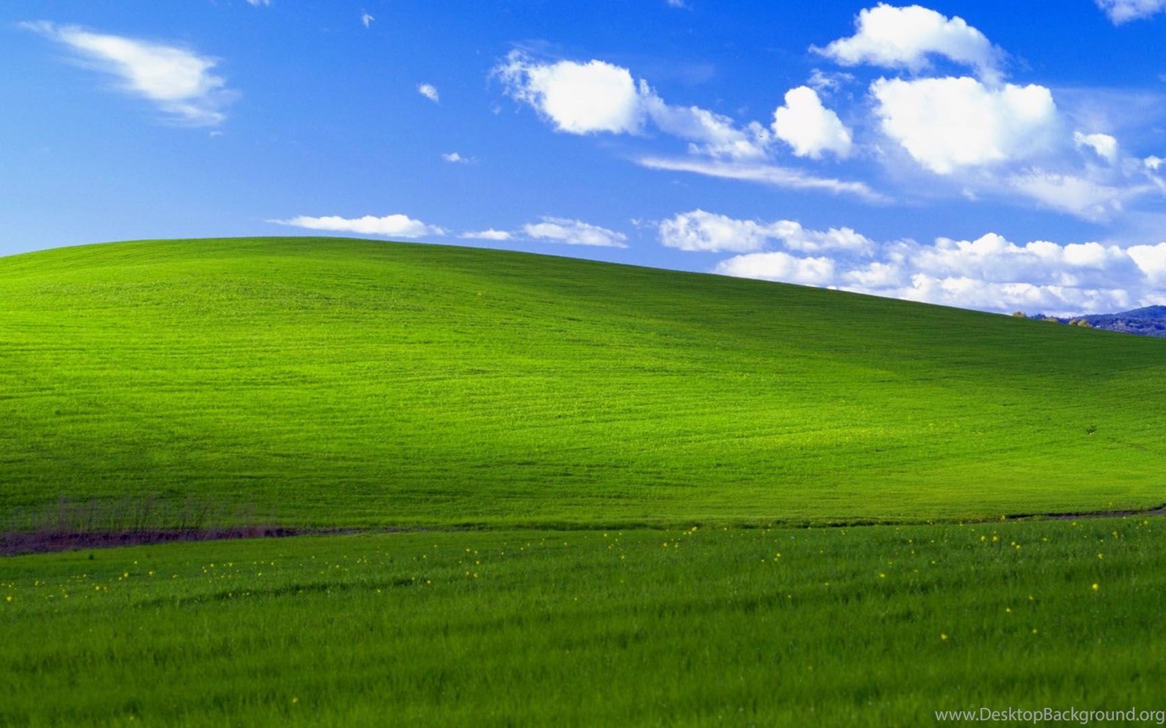 1680x1050 Windows Classic Field 1920x1080 Full HD 16 9 Wallpaper Desktop Background, Desktop