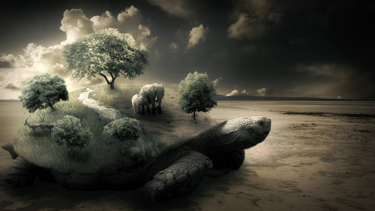 1280x720 Download Tortoise Wallpaper HD FREE Uploaded, Desktop