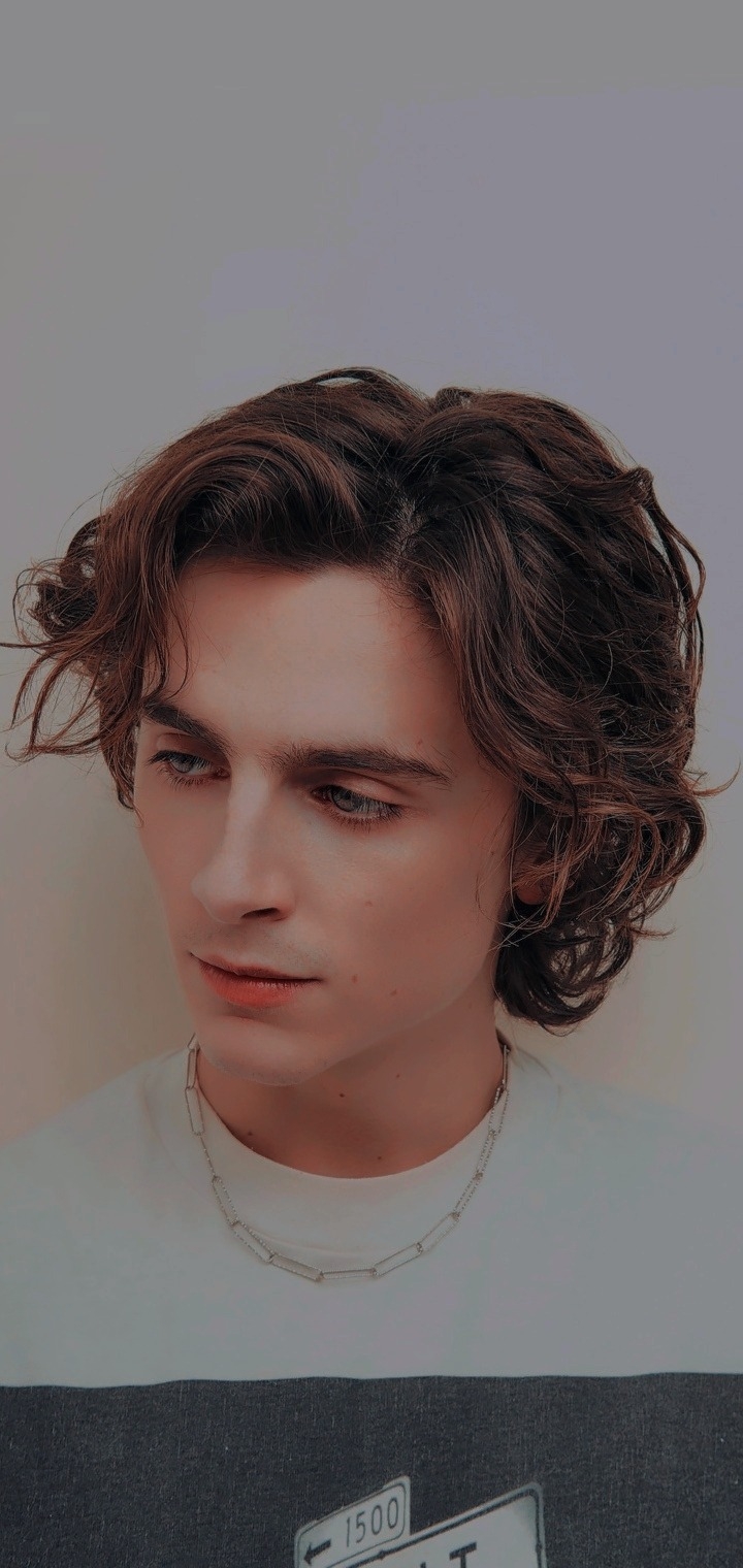 720x1520 wallpaper timothee chalamet, Phone