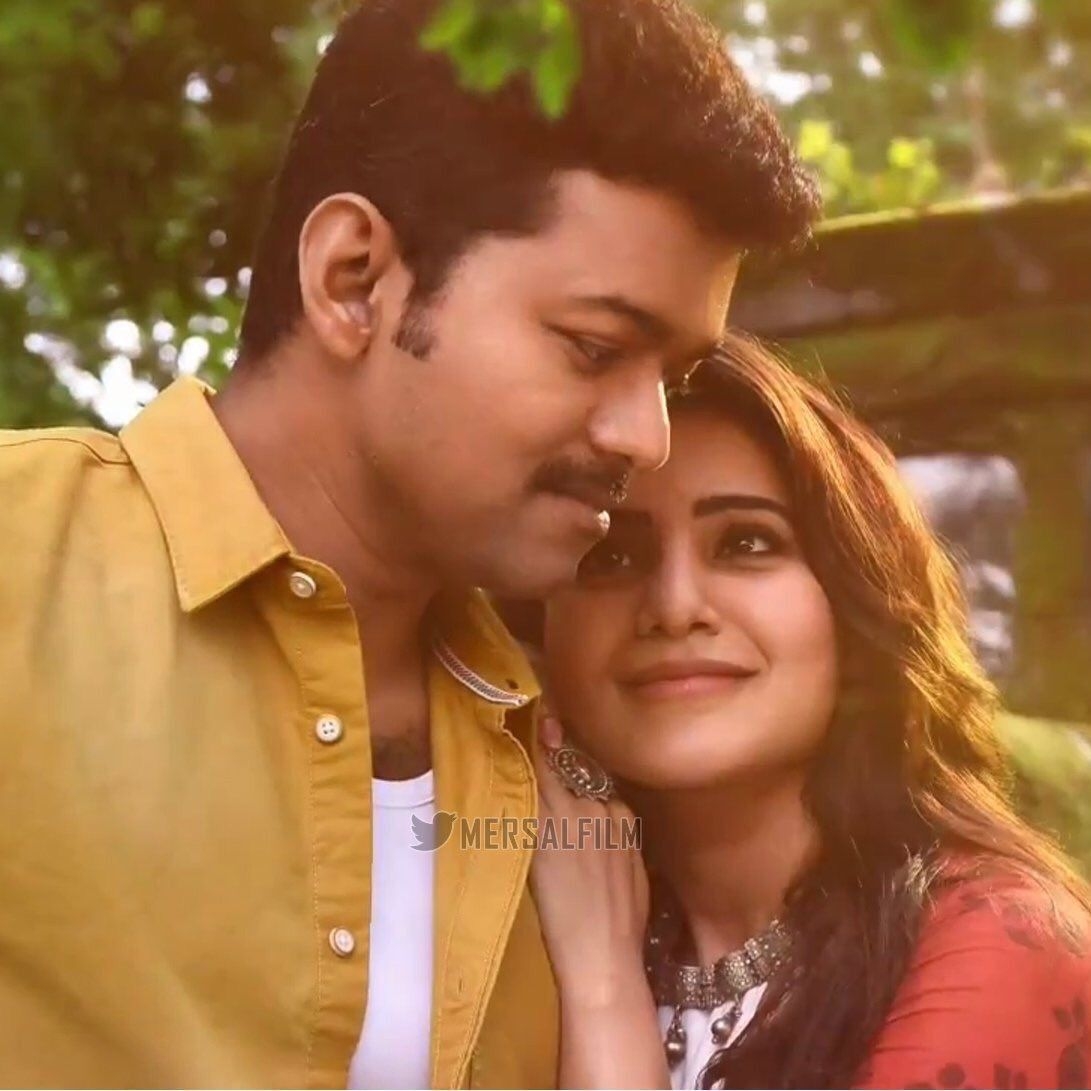 1100x1100 Samantha and Vijay Wallpaper Free Samantha and Vijay, Phone