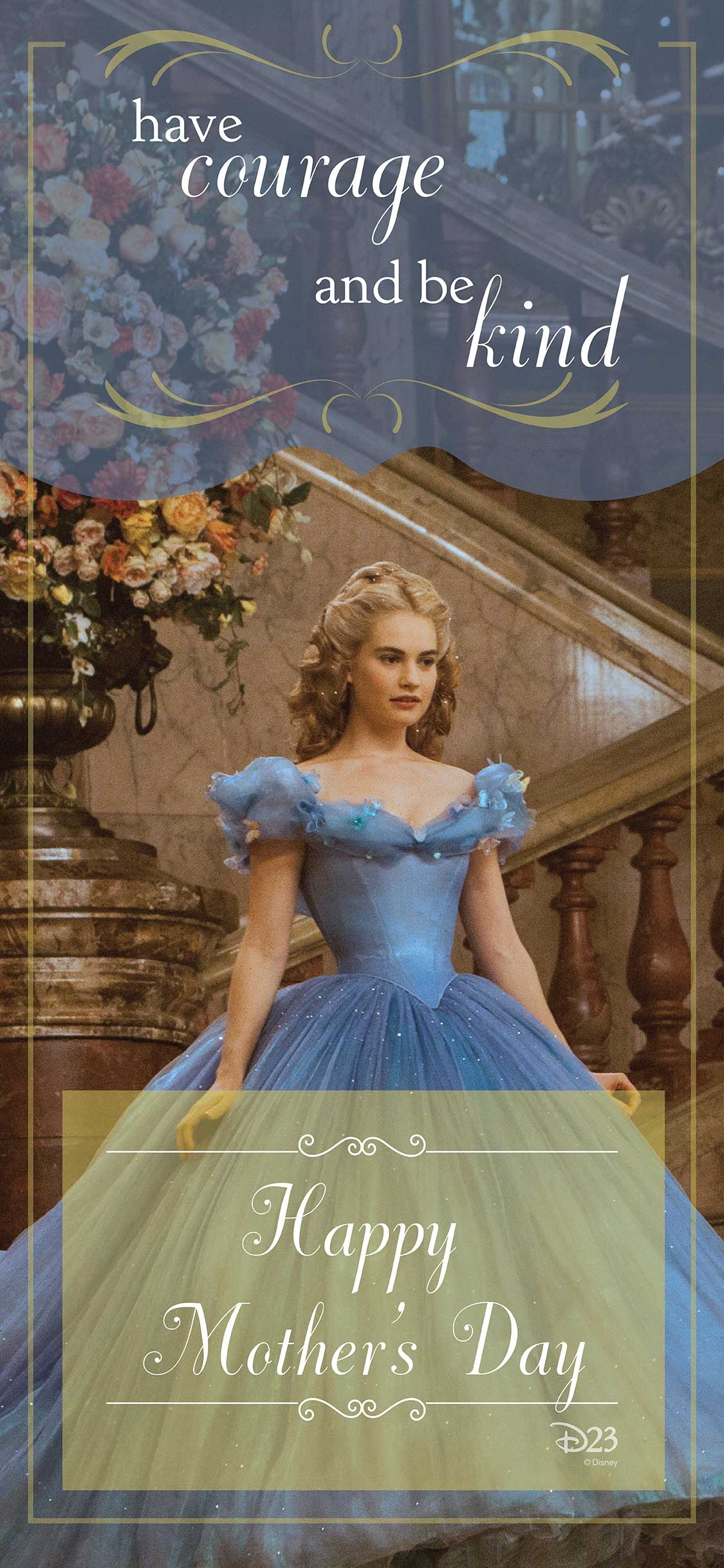 1130x2440 IPhone Background_cinderella, Phone