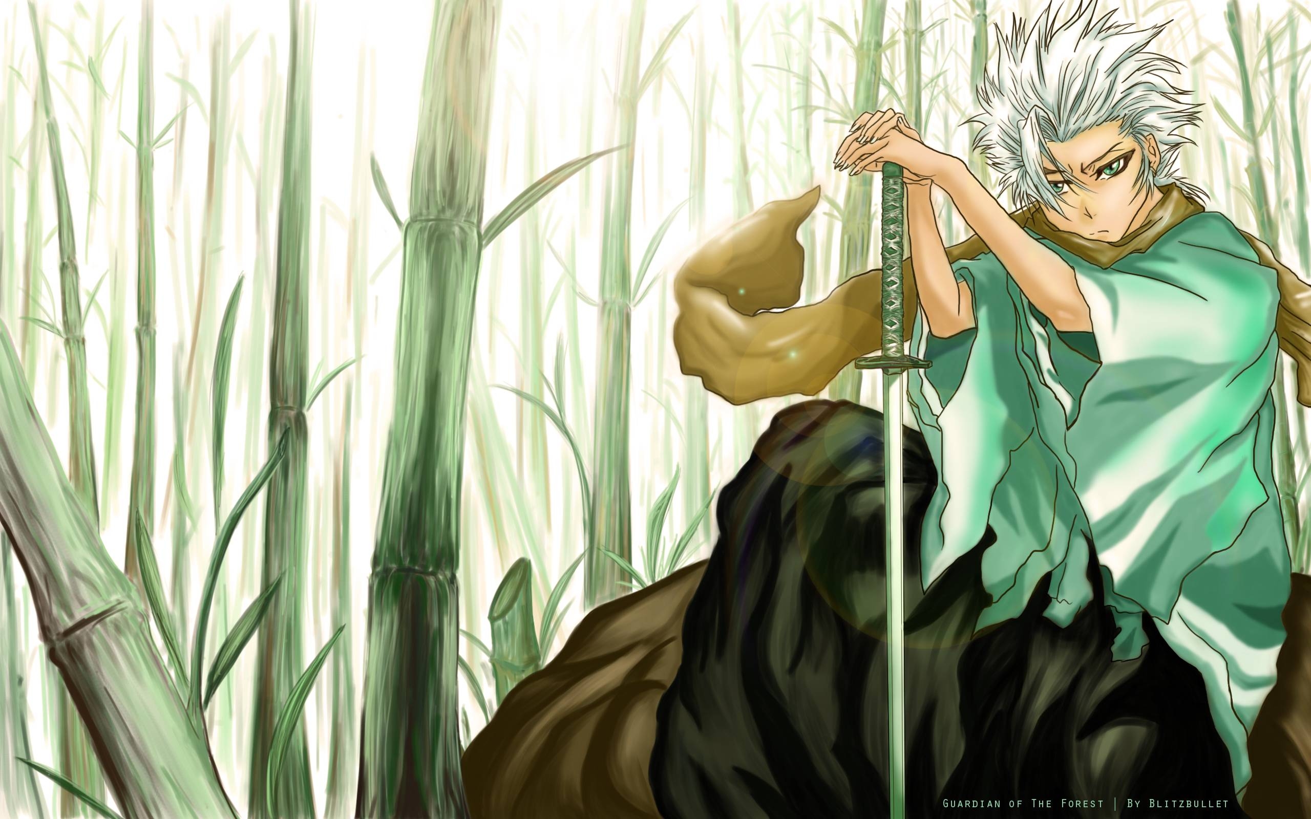 2560x1600 Toshiro*** Hitsugaya fangirls <3 Wallpaper 37484205, Desktop