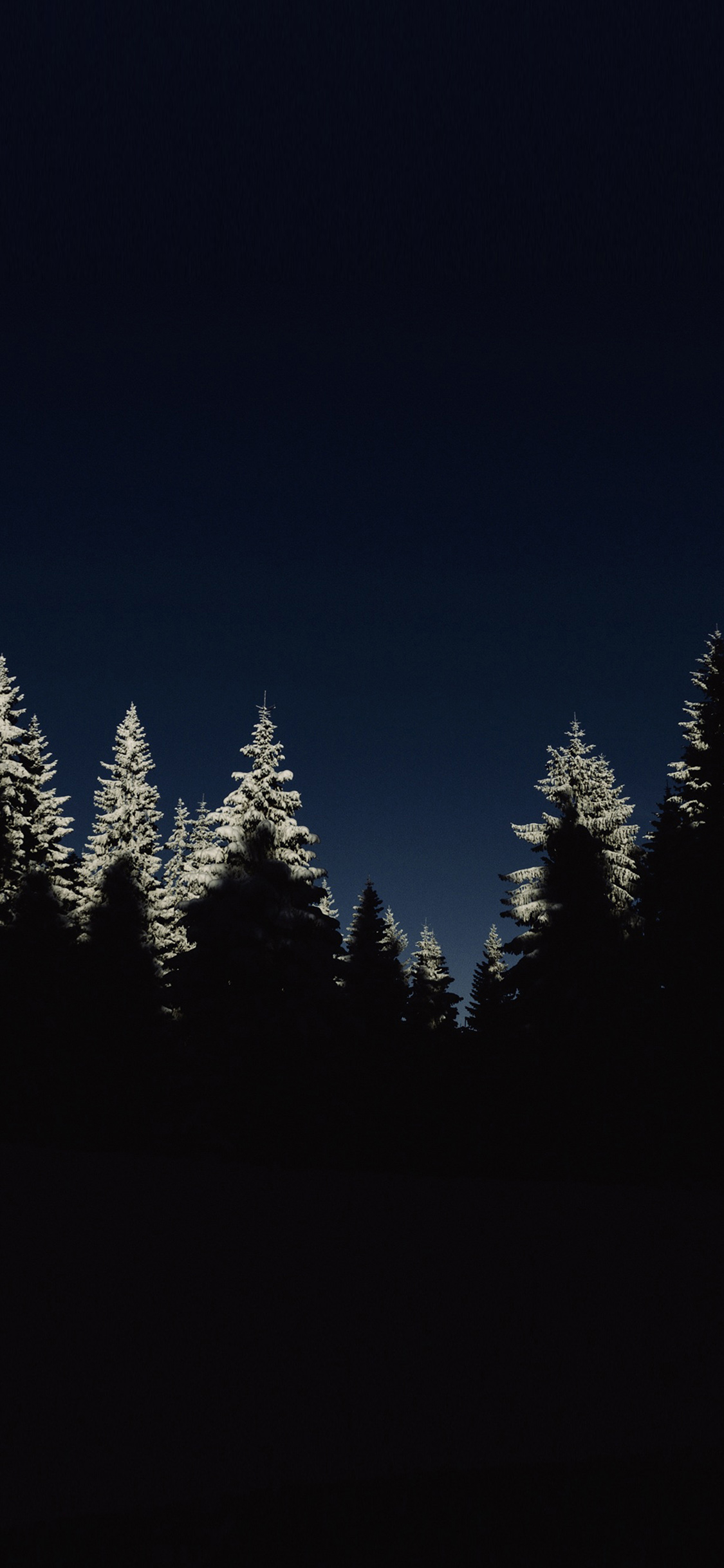 1130x2440 Wood Winter Night Mountain Minimal Wallpaper, Phone