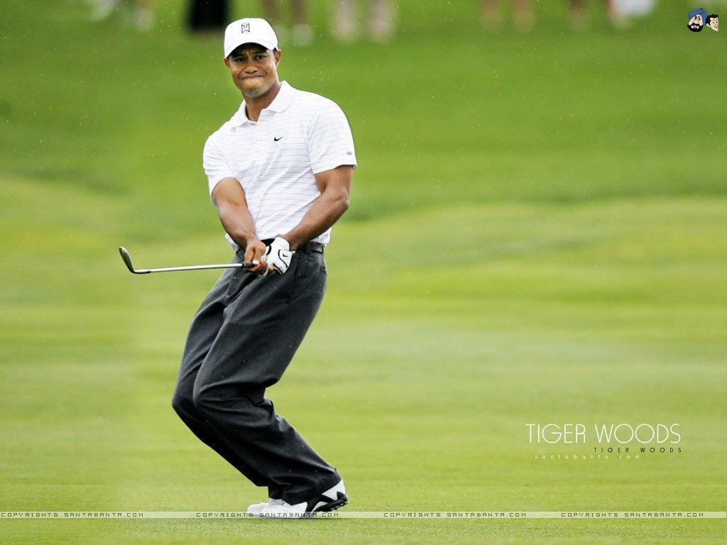 1030x770 Tiger Woods Tooth, Desktop