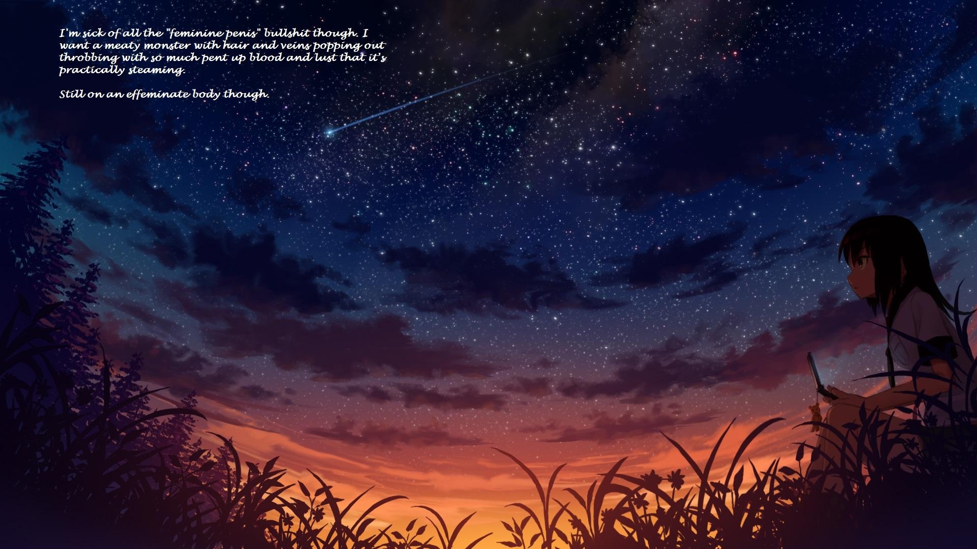 1920x1080 Starry Night Sky Anime, HD Wallpaper & background Download, Desktop