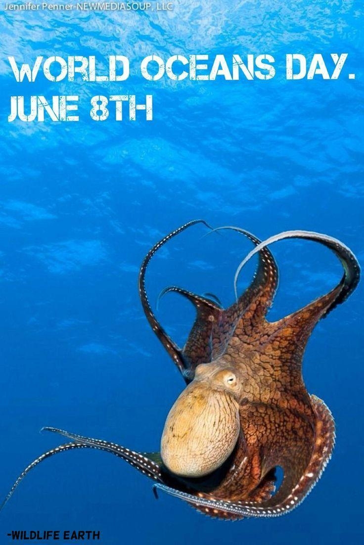 740x1110 Best World Ocean Day Wish Picture And Image, Phone