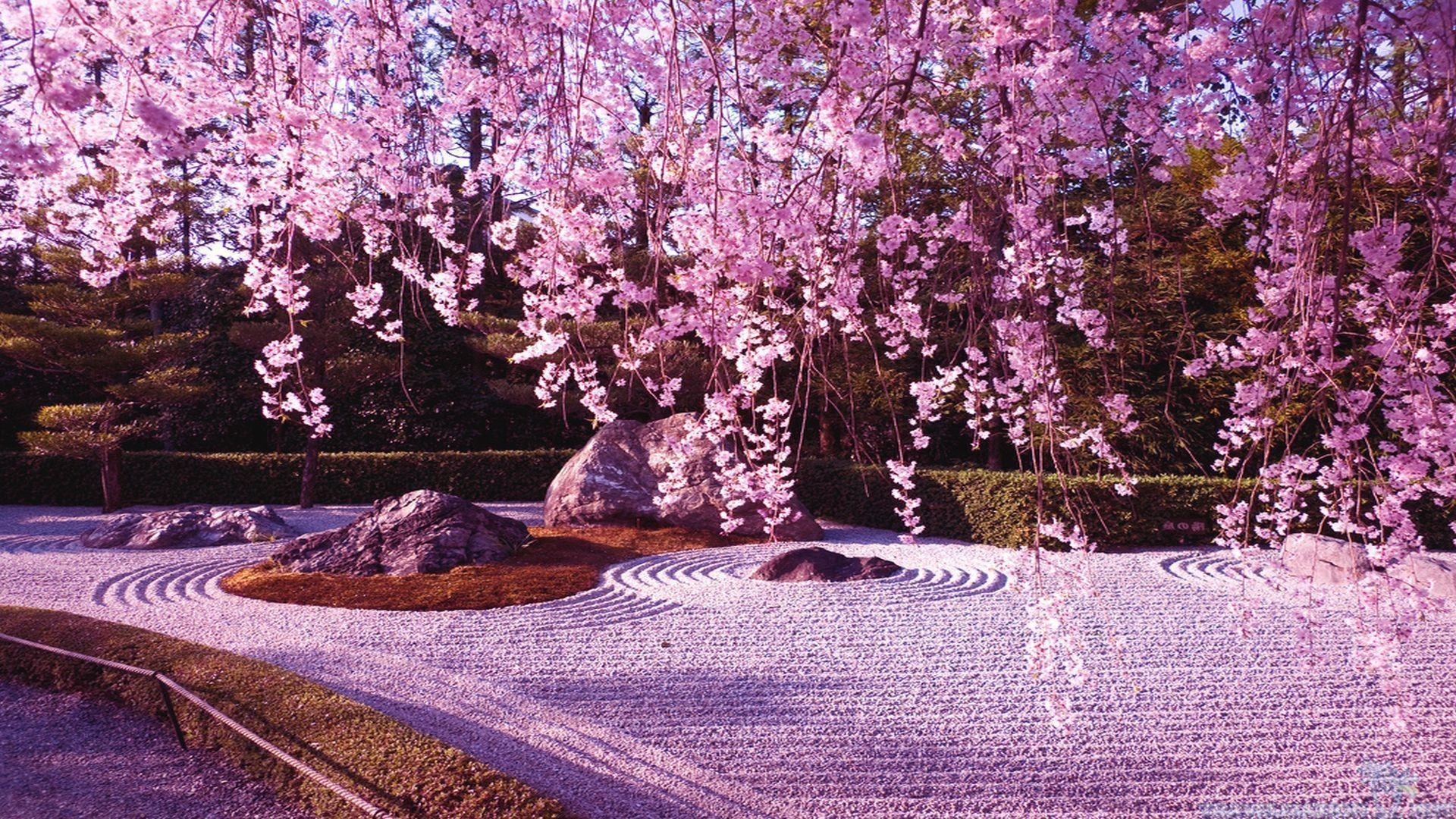 1920x1080 Gorgeous picture of Cherry Blossom Lake, Japan. Art, Desktop