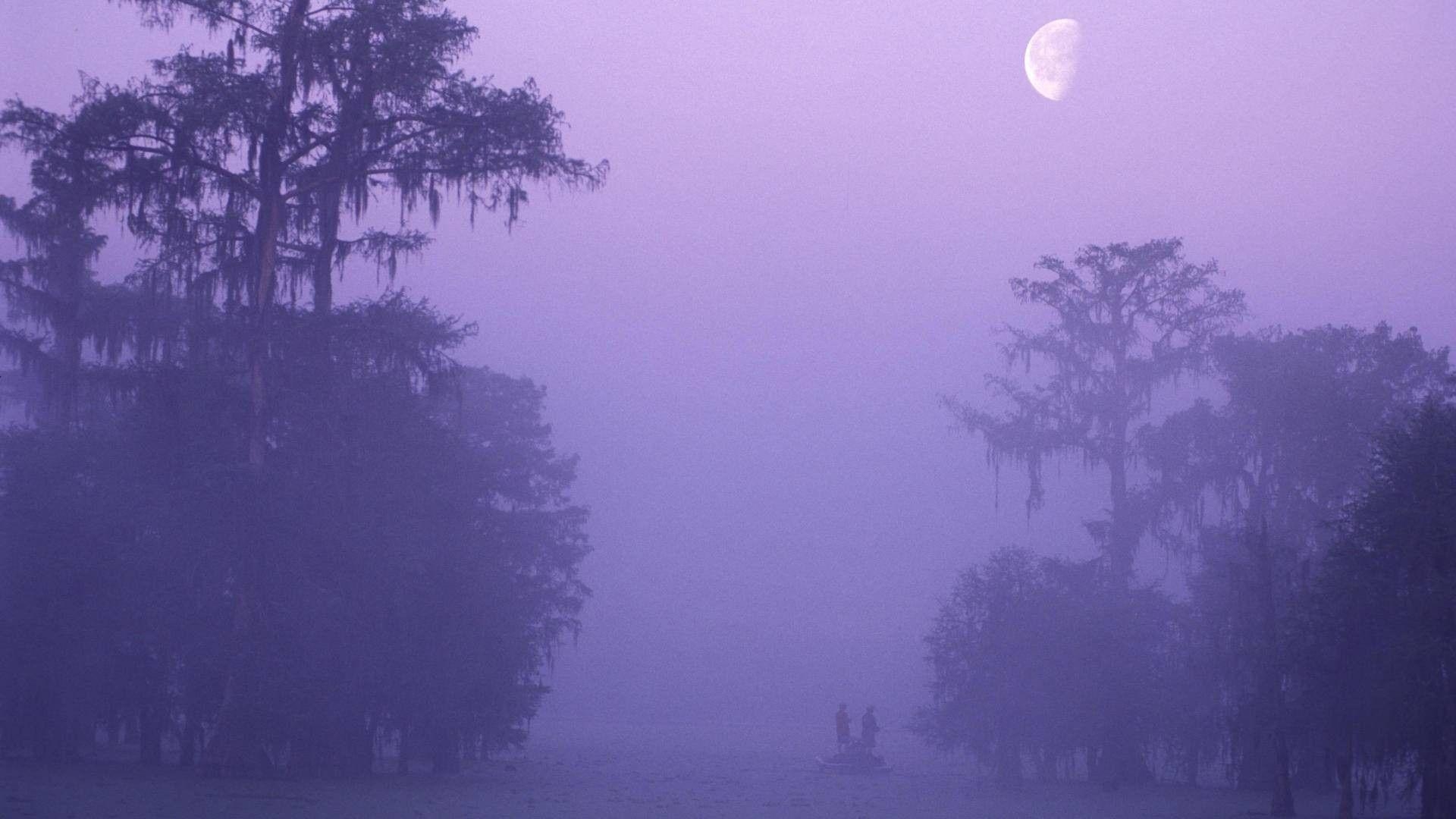 1920x1080 Bayou Tag wallpaper: Louisiana Hole Bayou Secret Mist Fishemen, Desktop