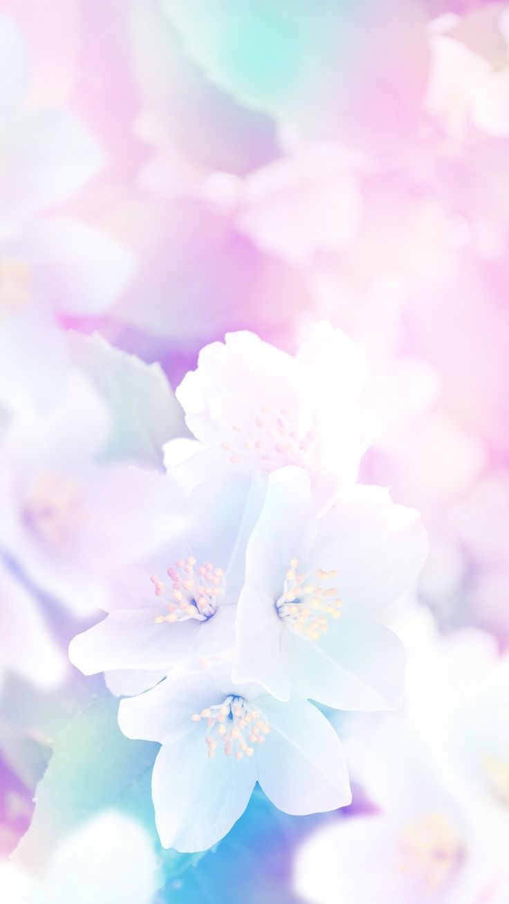 740x1310 Flowers photography wallpaper, Spring, Phone