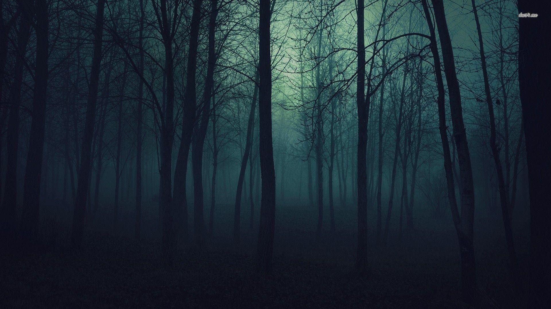 1920x1080 Dark Forest Wallpaper, Desktop