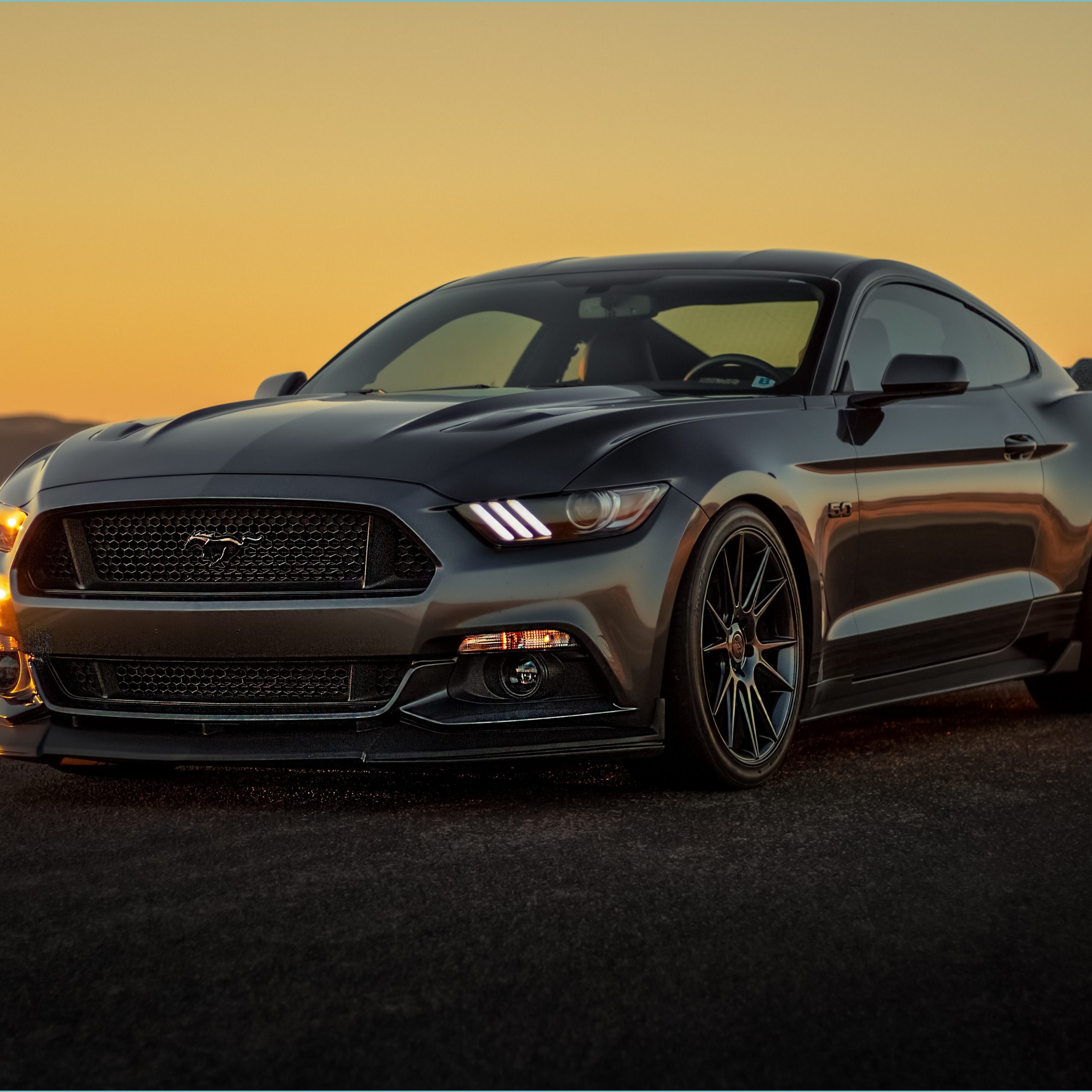 2560x2560 Black Ford Mustang 13 13k, HD Cars, 13k Wallpaper, Image Mustang Wallpaper, Phone