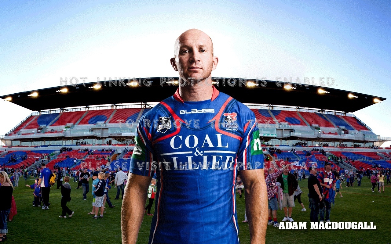 1280x800 adam macdougall newcastle knights sports, Desktop