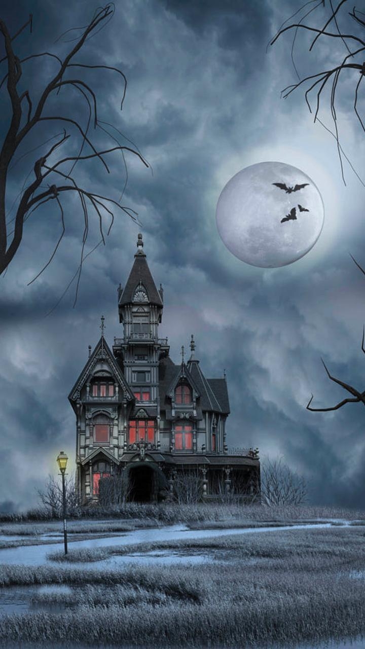 720x1280 Haunted House Wallpaper for Android, Phone