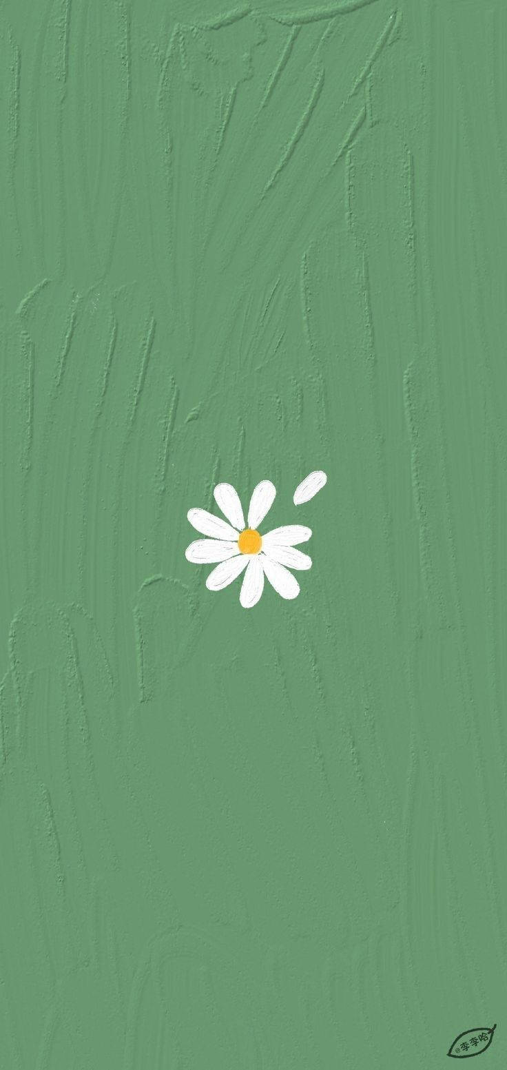 740x1560 Download Mint Green Aesthetic White Flower Wallpaper, Phone