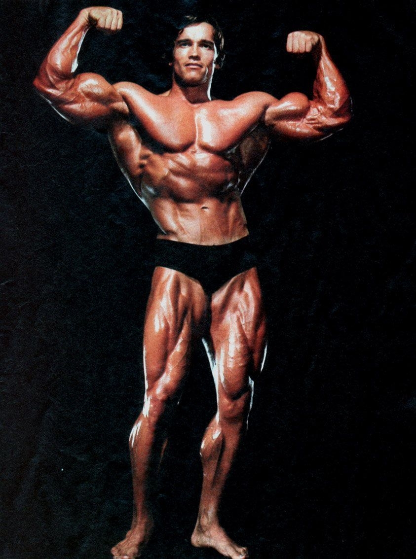 850x1140 Arnold Schwarzenegger Bodybuilding Schwarzenegger Prime Bodybuilding Wallpaper & Background Download, Phone