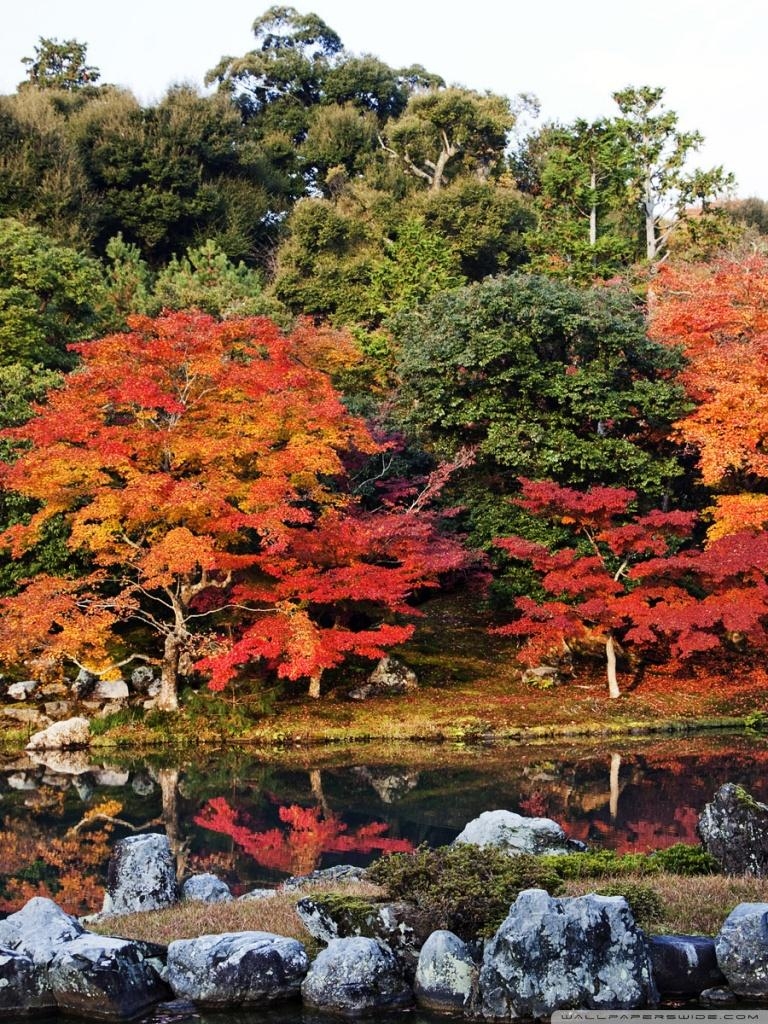 770x1030 Autumn, Japan Ultra HD Desktop Background Wallpaper for: Tablet, Phone