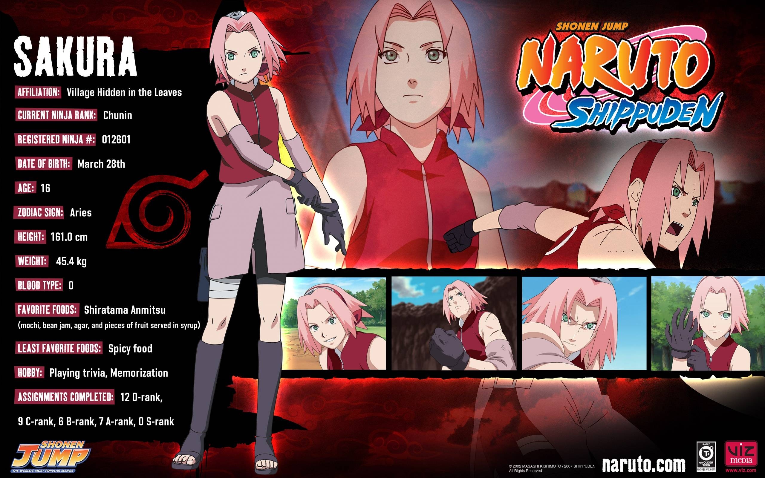 2560x1600 Sakura Profile Naruto Shippuden Wallpaper. High Definition, Desktop