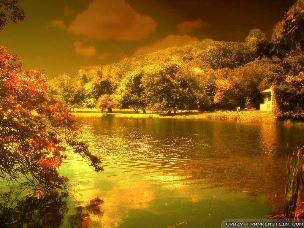 1030x770 Beautiful Autumn HD Wallpaper 28, Desktop