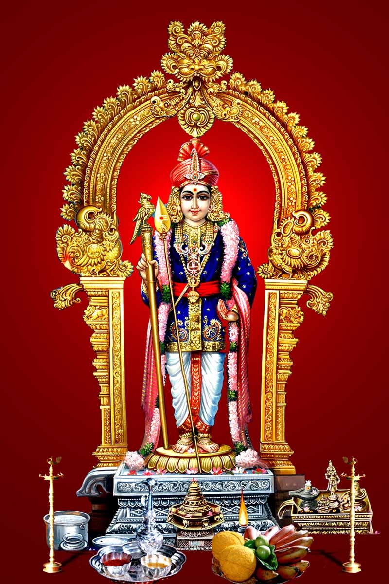 800x1200 Palani Murugan Raja Alankaram HD Wallpaper, Phone