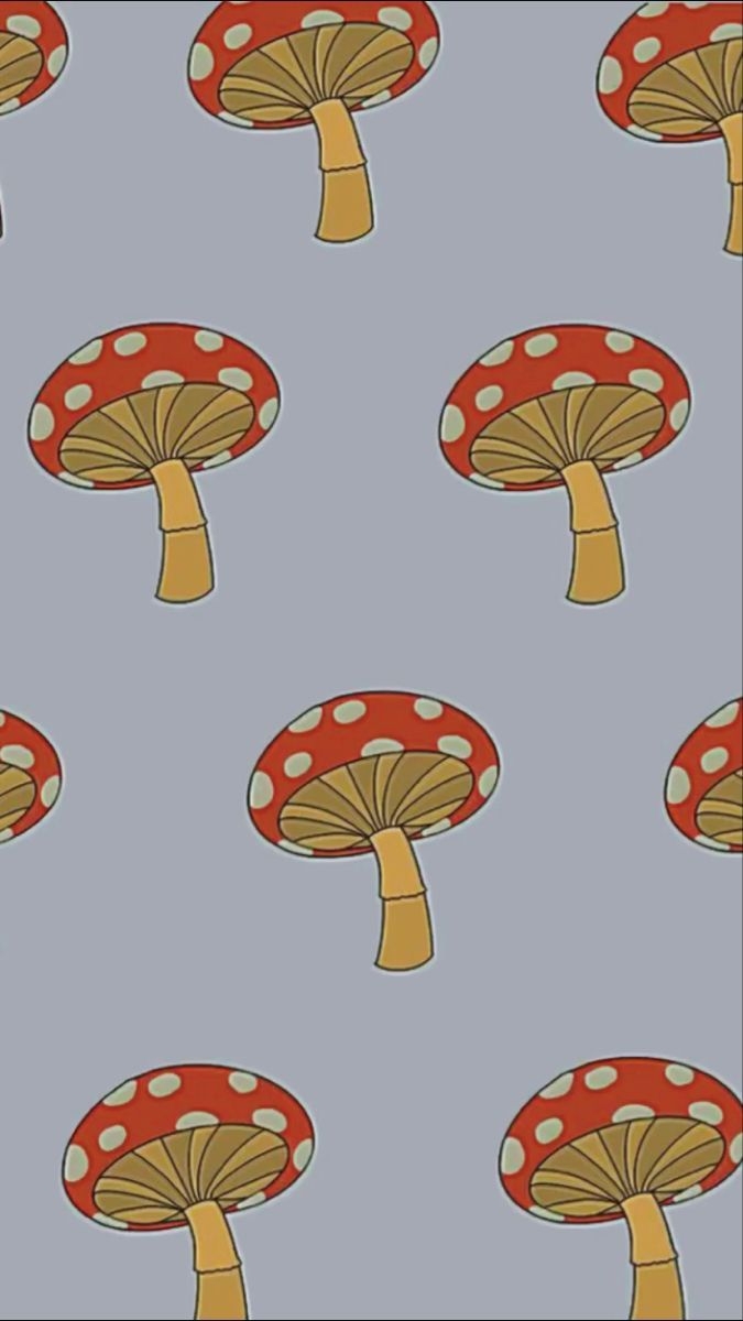 680x1200 Mushroom Wallpaper, Phone