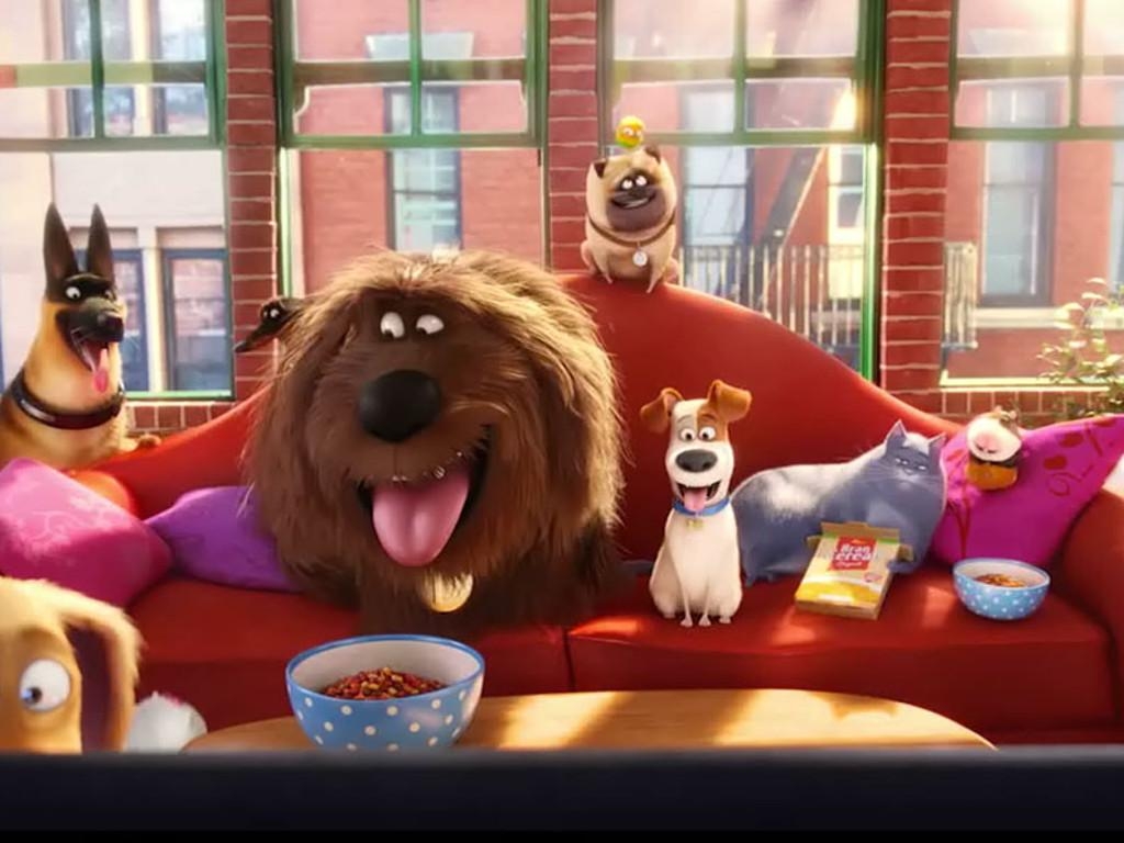 1030x770 cinema.com.my: Secret Life of Pets unleashes sequel, Desktop