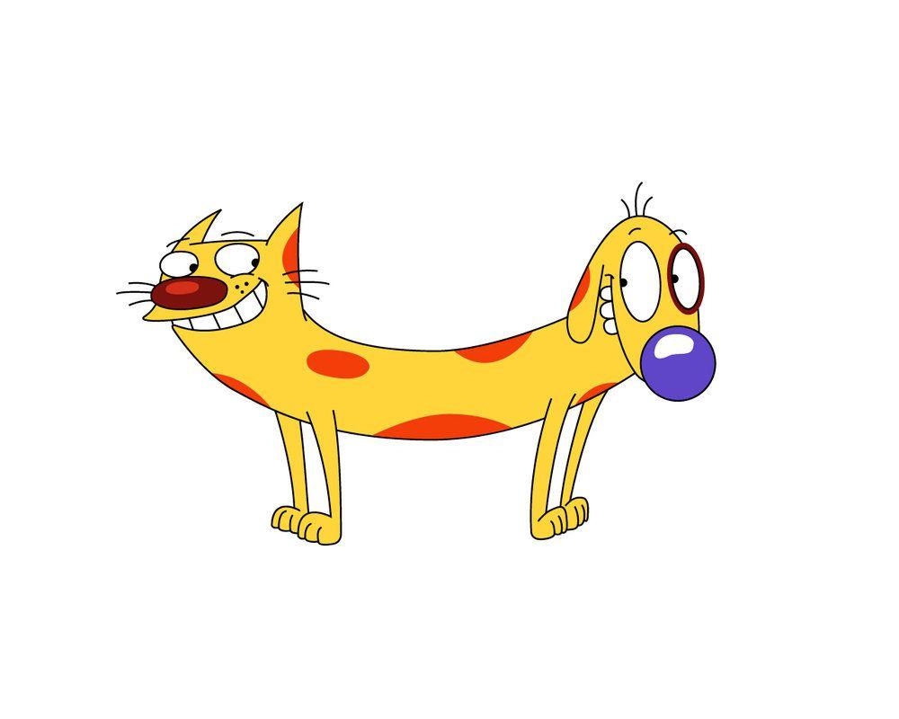 1000x800 Catdog Wallpaper, Desktop