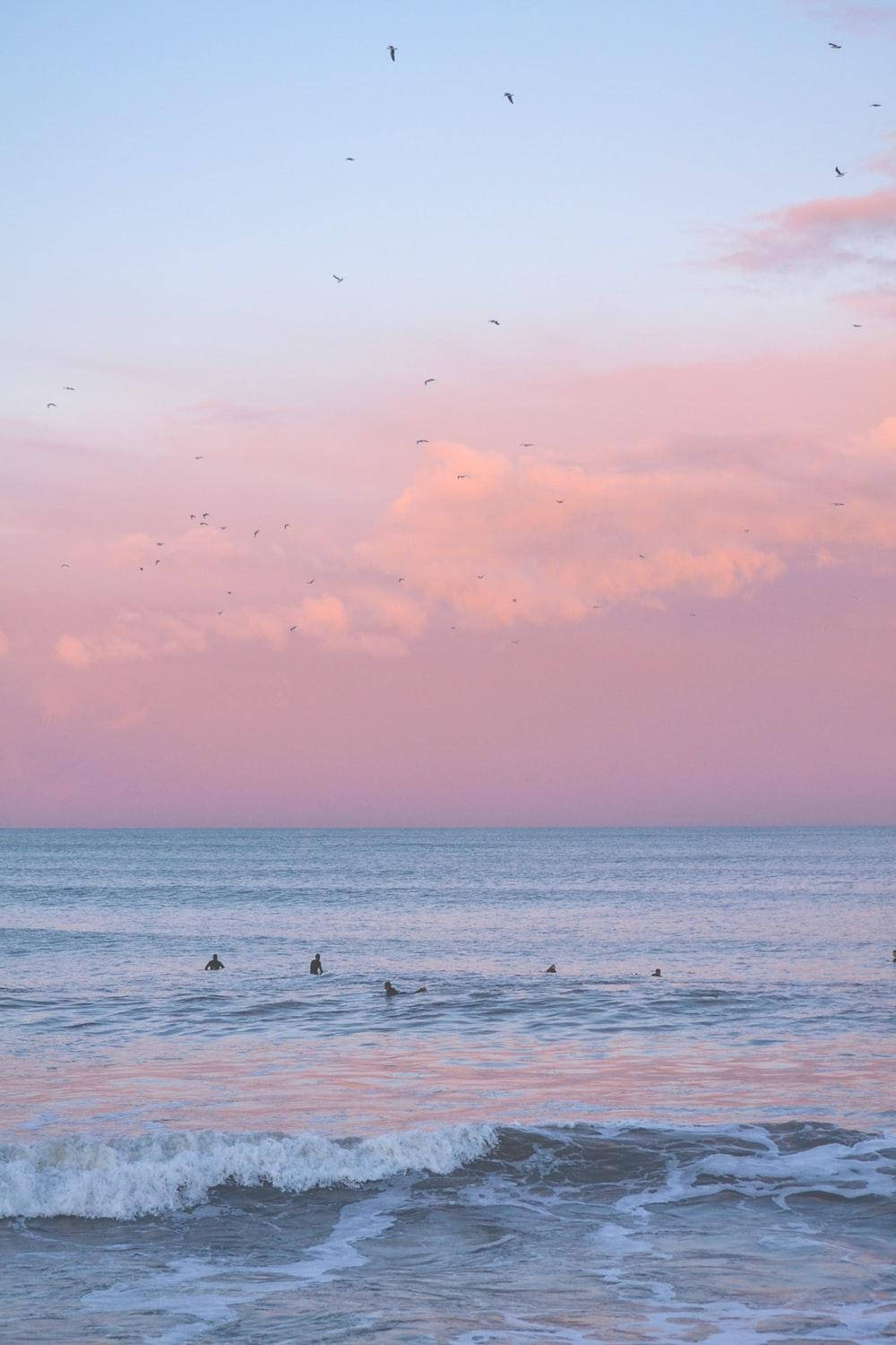 1000x1500 Download Aesthetic Pink iPhone Ocean And Sky Wallpaper, Phone