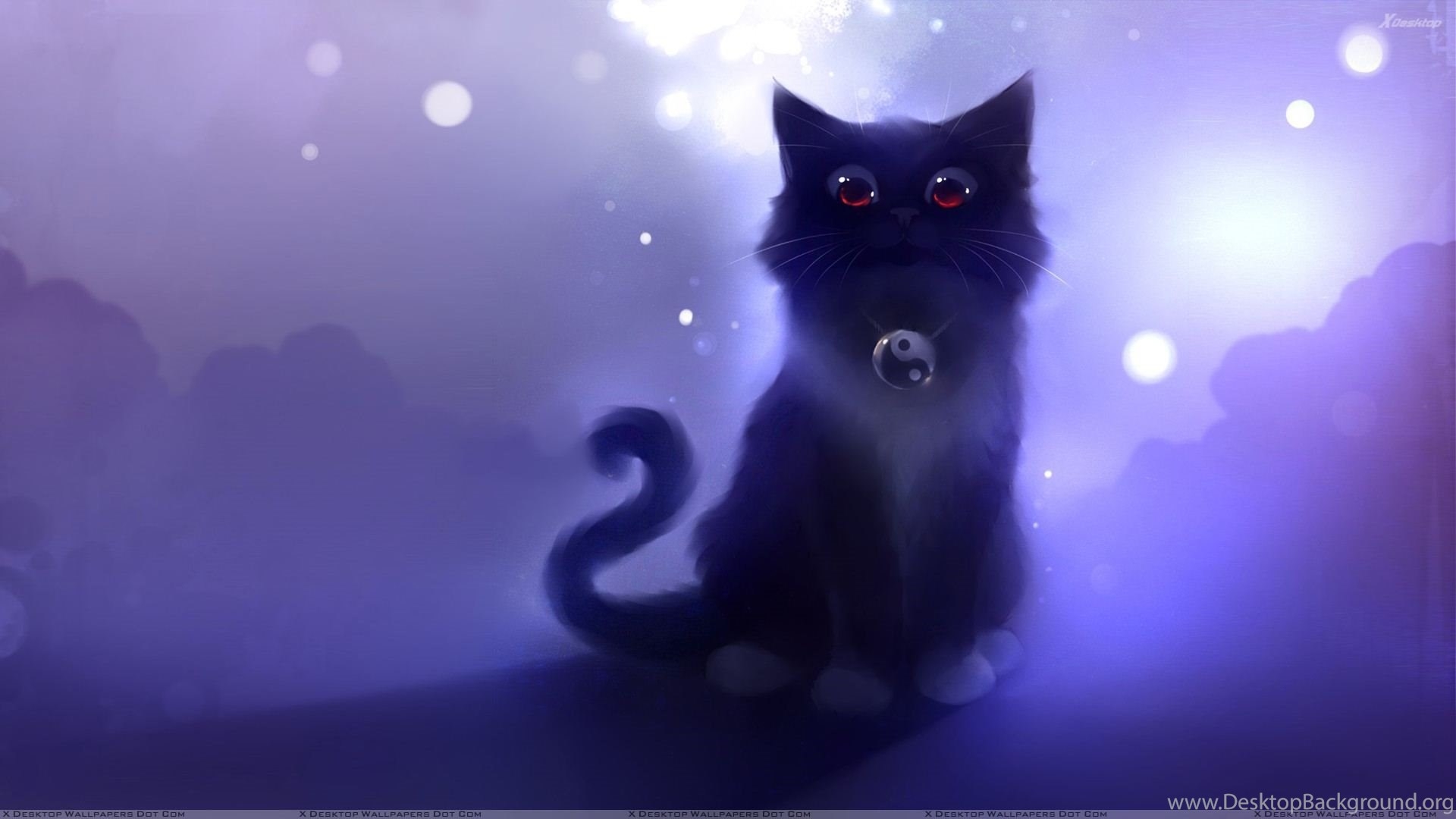 1920x1080 Black Cat Wallpaper K5N6F Free HD Wallpaper Desktop Background, Desktop