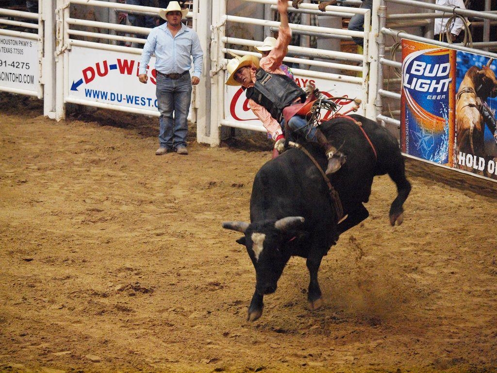 1030x770 Pasadena Texas Day 2 PBR Bullriding Pasadena Livestock Sho, Desktop