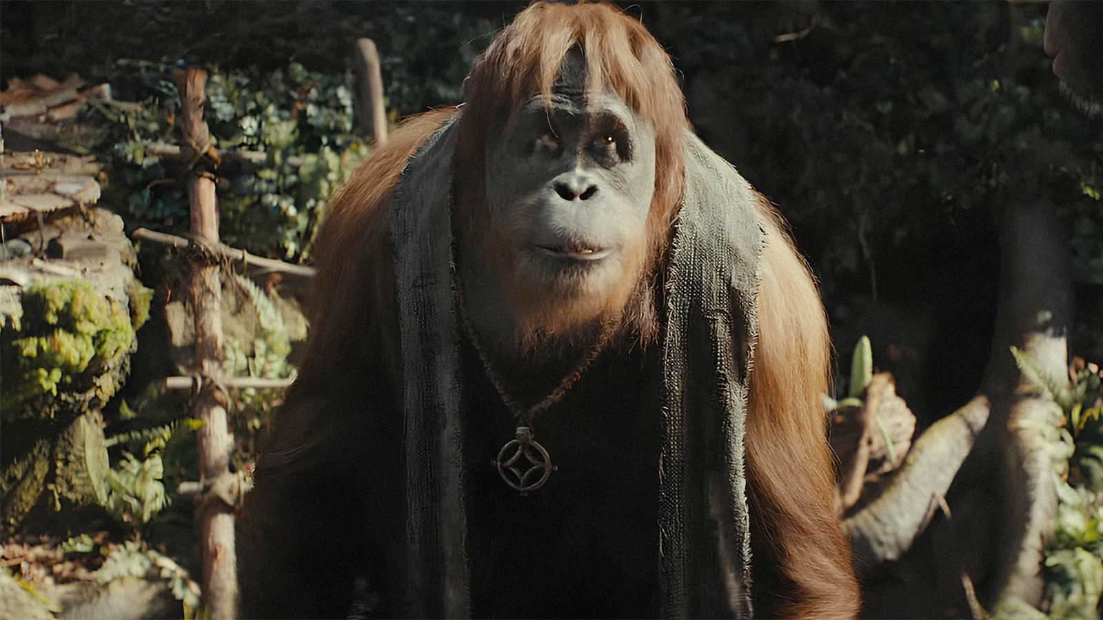 1600x900 The Kingdom Of The Planet Of The Apes Trailer: Is That Doctor Zaius?, Desktop