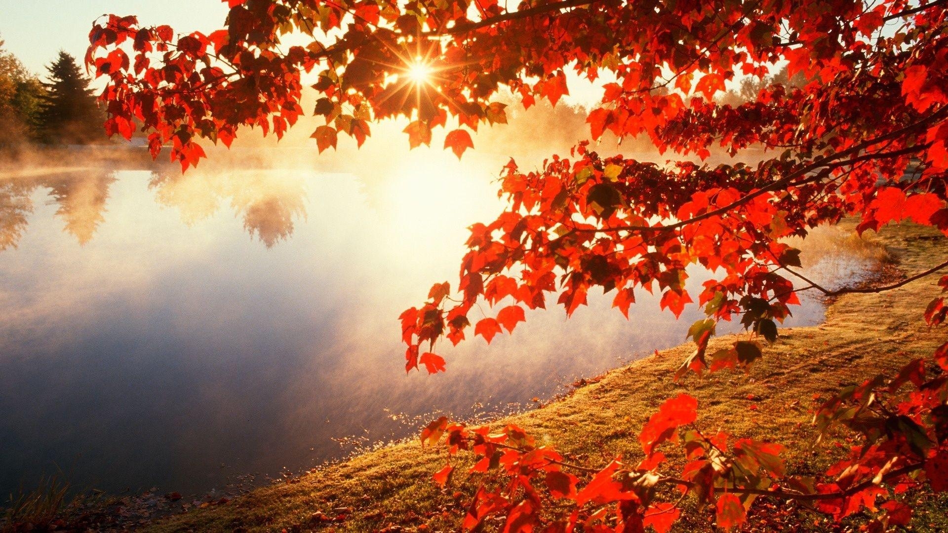 1920x1080 Herbst HD Wallpaper Pin auf FallHerbst HD Wallpaper, Desktop